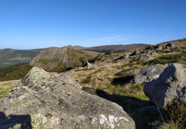 Trail Walking Le Fau - Puy violent  - Photo