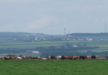 Tour Zu Fuß Bruttig-Fankel - Archäologischer Wanderweg - Photo