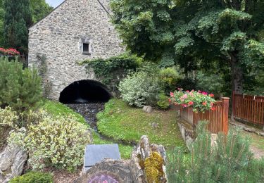 Trail Walking Saint-Lary-Soulan - J2-La Mousquere - Photo