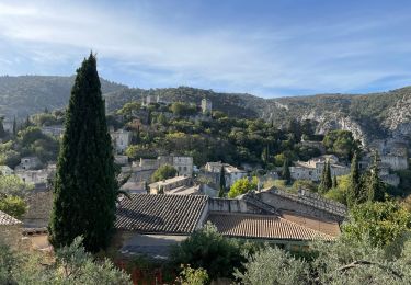 Excursión Senderismo Oppède - PF-Oppède-le-Vieux - Sentier vigneron - Forteresse et Collégiale - Photo