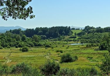 Tour Wandern Saint-Ours - J2 GR 441 : Saint-Ours - Olby - Photo