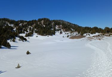 Randonnée Marche Gresse-en-Vercors - pré Peyret - Vallon de Combeau - Photo