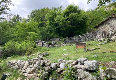 Trail Walking Vivario - Vizzavone-refuge de Capannelle - Photo