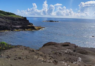 Tour Wandern La Trinité - Petit circuit de la caravelle. - Photo