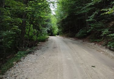 Tocht Stappen Mosset - col de jai - Photo