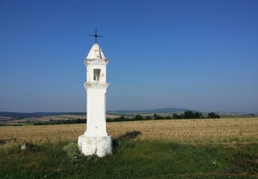 Percorso A piedi Gemeinde Mistelbach - RWW Rosental-Kuchlholz - Photo