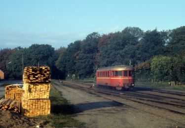 Tour Zu Fuß  - Sporet i Tersløse Skov - Photo