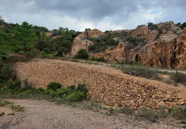 Excursión Senderismo Saint-Raphaël - Rastel d'Agay - Photo