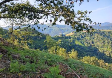 Trail Walking Lesaka - etap 2gr11 - Photo