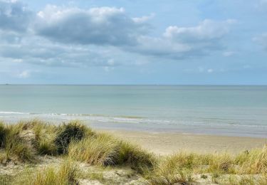 Tocht Stappen Leffrinkhoeke - La dune Dewulf à Leffrinckoucke - Photo