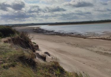 Tocht Stappen La Haye - Surville Carteret - Photo