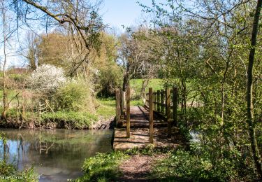 Trail Walking Longny les Villages - Monceaux-au-Perche - Nocé-Courboyer 15 km - Photo