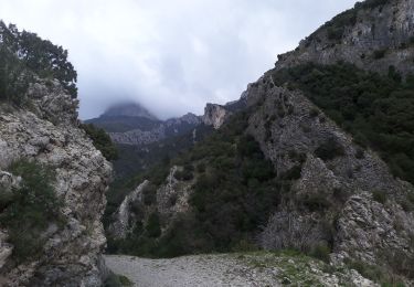 Percorso Marcia Gémenos - du vallon de la fauge à la glacière par Christian  - Photo