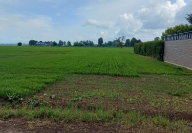 Tour Wandern Franqueville-Saint-Pierre - 20250513 Franqueville le Mesnil Esnard - Photo