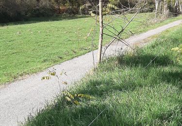 Tocht Stappen Arnaud-Guilhem - Le Lances  - Photo