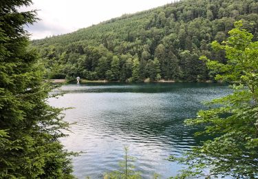 Trail Walking Lautenbachzell - Monument Brun-Lac du Ballon-Base - Photo