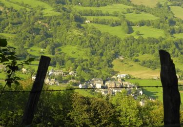 Randonnée A pied Le Falgoux - Sentier du Bar - Photo