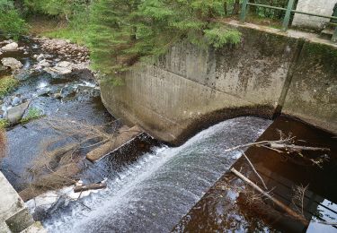 Tour Zu Fuß Eupen - Hill- und Getzwanderung - Photo