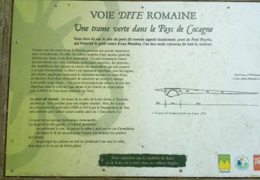 Trail Walking Teyssode - naudet - Photo