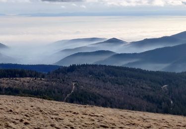 Tour Wandern Sondernach - 2020-01-02 Marche Landersen Petit Ballon - Photo