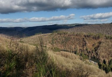 Randonnée Marche Bouillon - Rochehaut 110222 - Photo