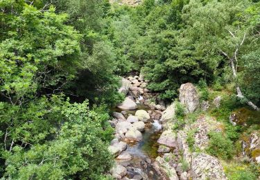 Tocht Stappen Pont de Montvert - Sud Mont Lozère - Pont de Montvert / Pont du Tarn  - Photo
