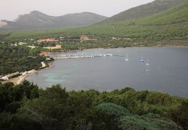 Percorso A piedi Alghero - sentiero timidone rosso - Photo