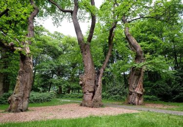 Trail On foot Arnhem - Groene Wissel: Arnhem - Photo