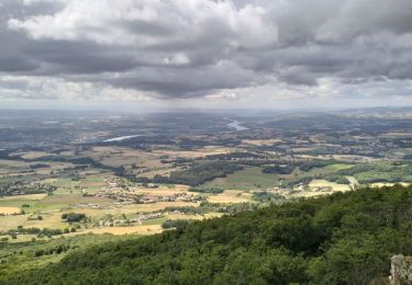 Tocht Stappen Longes - 69-longes-Mont-Monnet-Ste-Croix-Jarez-20km-800m - Photo