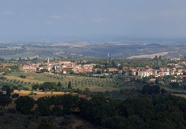 Trail On foot San Quirico d'Orcia - Poggio Grande - Photo