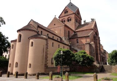 Tour Zu Fuß Neuweiler - Croix bleu - Photo