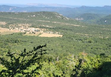 Tocht Stappen Plan-d'Aups-Sainte-Baume - la Ste Baume  la grotte aux œufs  - Photo