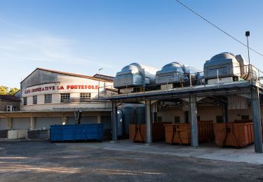 Randonnée A pied Fontès - Fontès - Vignes et Volcans - Le Céressou - Photo