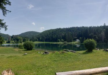 Trail Electric bike Bellignat - Bellignat Le Poizat Lac Genin  Bellignat  - Photo