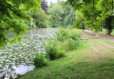 Tocht Stappen Metz - merz courses - Photo