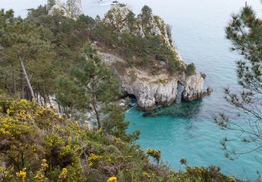 Tocht Te voet Crozon - Balade Sonore de l'Île Vierge - Photo