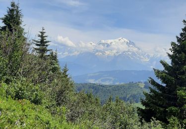 Tour Wandern Megève - Le petit Croisse Baulet  - Photo