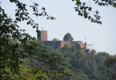 Trail On foot Gleiszellen-Gleishorbach - Karlsplatzweg, Klingenmüster - Photo