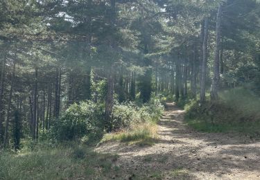 Tour Wandern Vernet-les-Bains - Vernet les bains - Photo