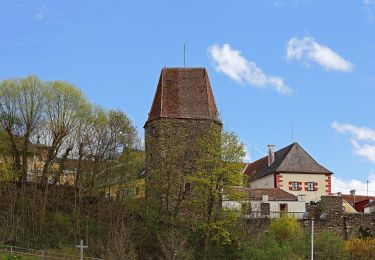 Tocht Te voet Gemeinde Zwettl-Niederösterreich - Naturfreundeweg 11 - Photo