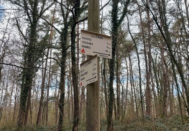 Tour Wandern Viroinval - olloy sur viroin 030422 - Photo