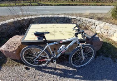 Tour Mountainbike Draguignan - 20220208 vtt route + chemins  - Photo