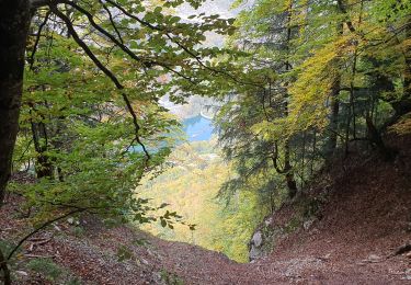 Excursión Senderismo La Vernaz - Pont du Diable - La Touvière - Lac du Jotty - Photo