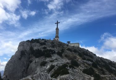 Tour Wandern Vauvenargues - Sainte-Victoire (accès par Vauvenargues et GR9) - Photo