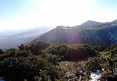 Tour Zu Fuß Δημοτική Ενότητα Αχαρνών - Καταφύγιο Φλαμπούρι - Μακρυχώραφο Κατσιμιδίου - Photo