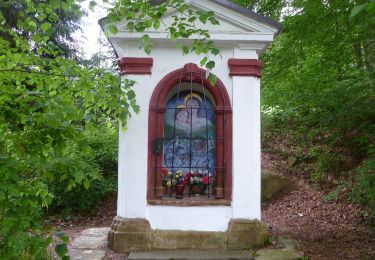 Randonnée A pied Slatina nad Úpou - CZ-1830 - Photo