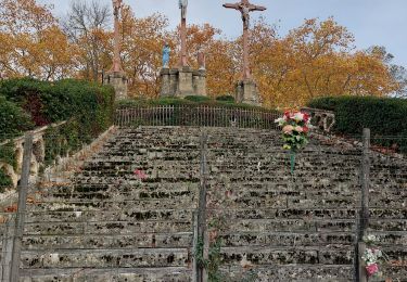 Tour Wandern Verdelais - Verdelais - Photo