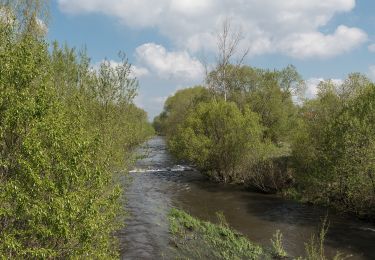 Tour Zu Fuß Krosnowice - Dookoła Gminy Kłodzko - Photo