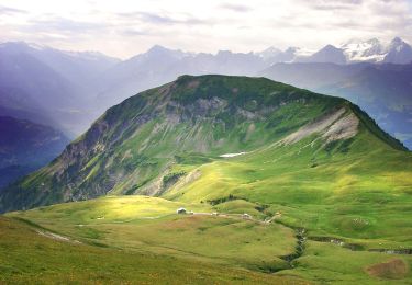 Tocht Te voet Lungern - Dundelegg - Turren - Photo