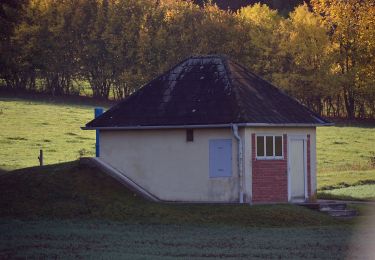 Tocht Te voet Gemeinde Alland - Allander Wanderweg 5 - Photo